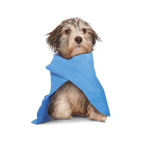 RF Cool&Dry Dog Brisača krpa večnamenska super vpojna hladilna 66x43 cm