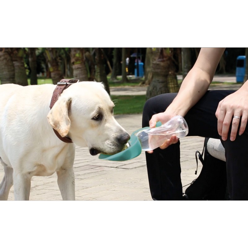 RF Potovalna plastična boca Wave s dozirnom posudom 2u1 500 ml