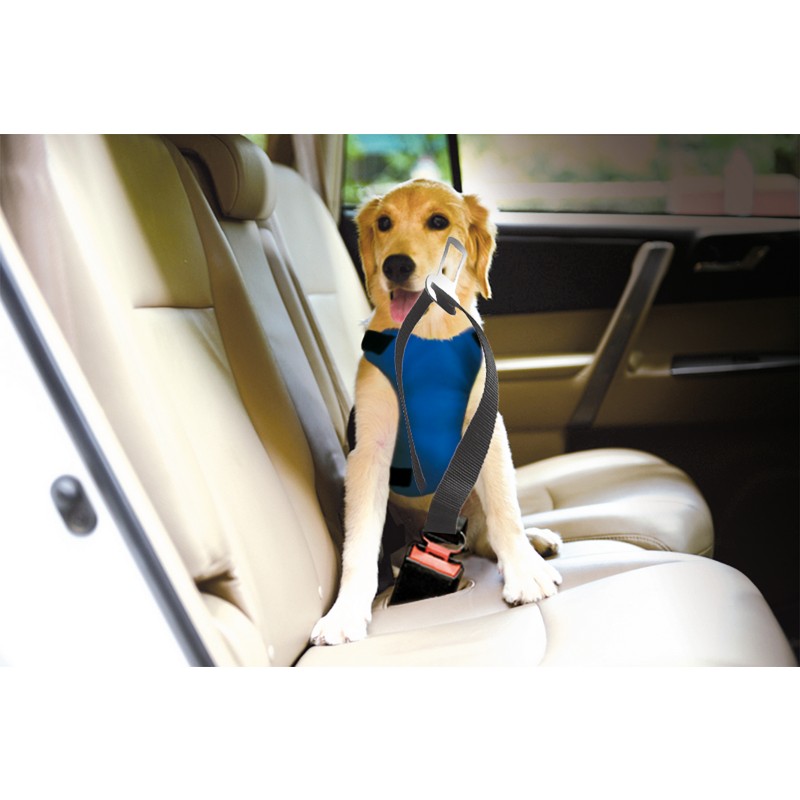 Record Avtomobilski Varnostni povodec za psa