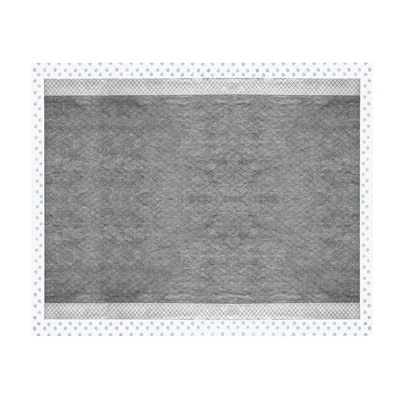 RF Assorbipiu podloga z aktivnim ogljem 60 x 90 cm 10/1