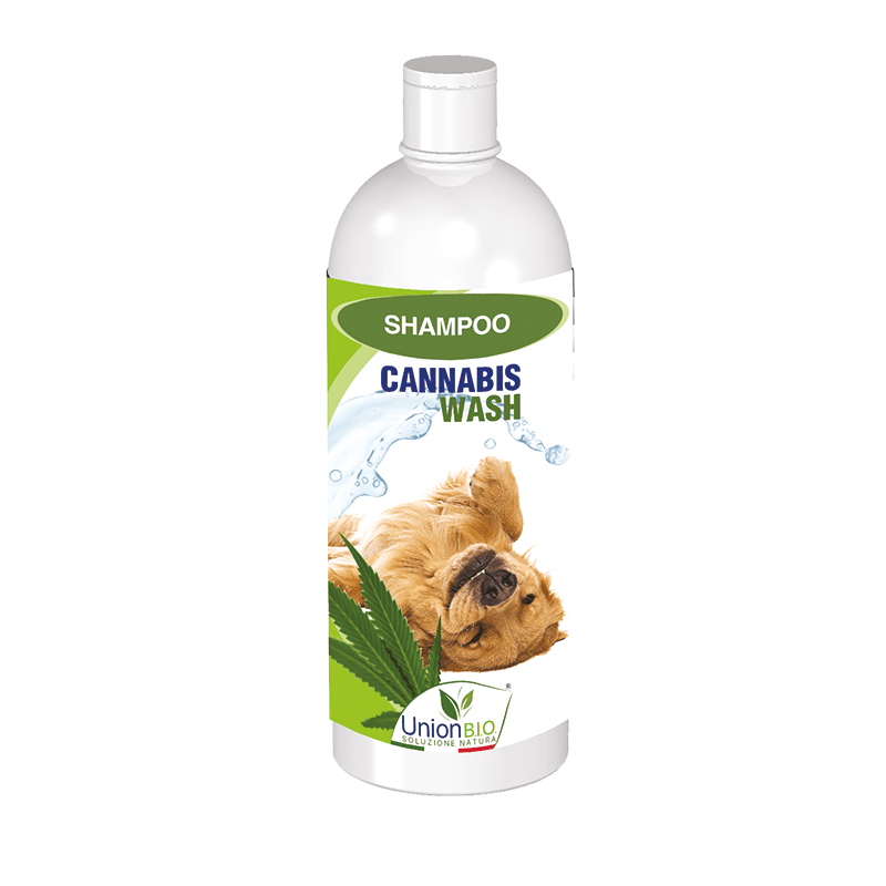 Union BIO Šampon Cannabis Wash
