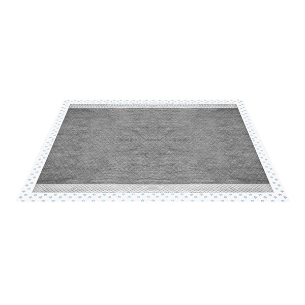 RF Assorbipiu podloga z aktivnim ogljem 60 x 60 cm 10/1