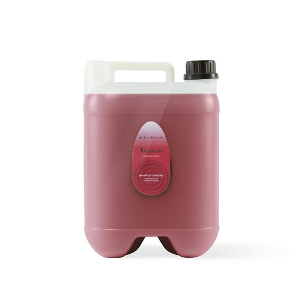 Iv San Bernard Šampon Vanesia Ginseng (Univerzalan)