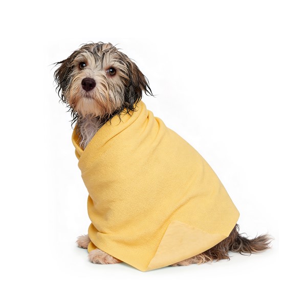 RF Cool&Dry Dog Handtuch multifunktional super saugfähig kühlend 66x43 cm