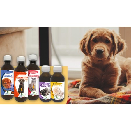 PREHRANSKA-DOPOLNILA